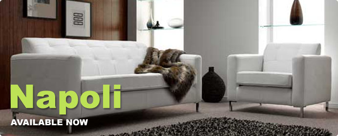 nivo slider image