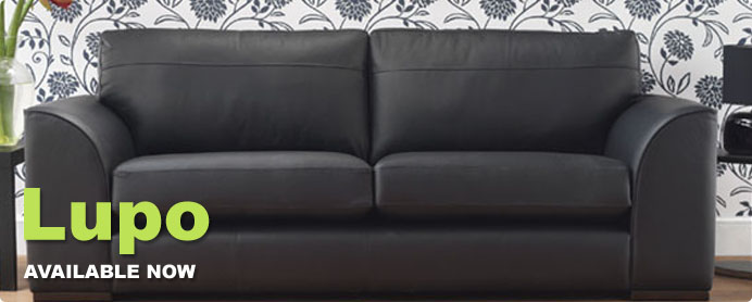nivo slider image